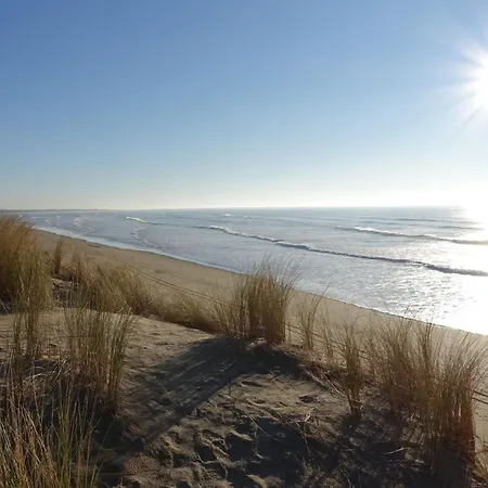 L'oasis By Interhome Dolus d'Oléron