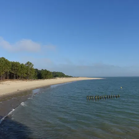 L'oasis By Interhome Dolus-d'Oleron
