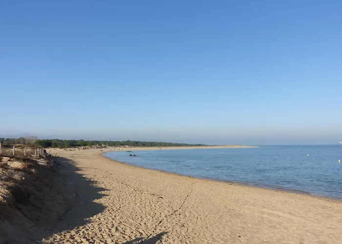 Apartamento L'oasis By Interhome Dolus d'Oléron