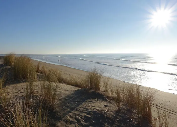 L'oasis By Interhome Dolus d'Oléron